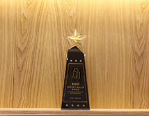 2013年首届中国十佳成长型标杆企业